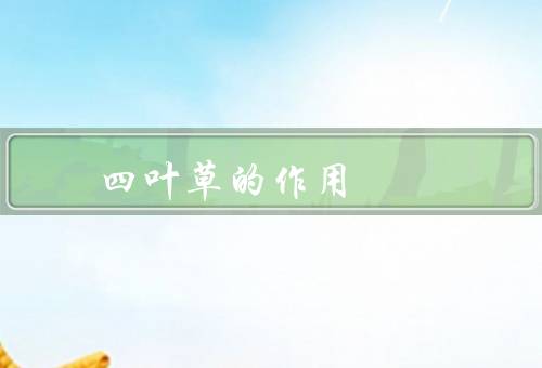 四叶草的风水作用，象征意义、摆放位置、养护方法