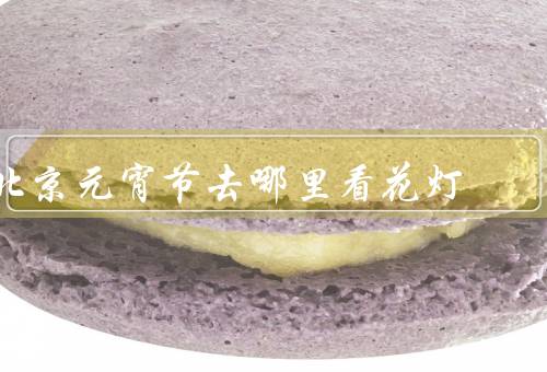 北京元宵节去哪里看花灯（北京世界公园、颐和园、南锣鼓巷）
