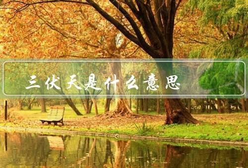 三伏天是什么意思，起源、特点、习俗