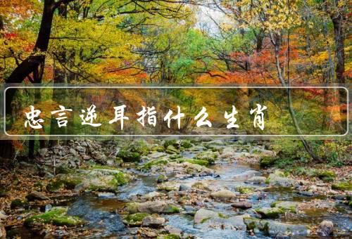 忠言逆耳指什么生肖（龙／牛／处女）