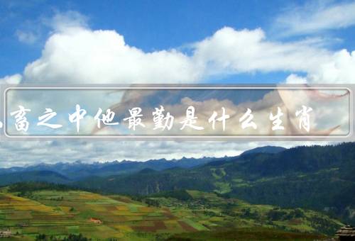 六畜之中他最勤是什么生肖（勤劳劲／耐力与耐心／默默奉献）