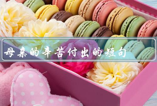 母亲的辛苦付出的短句（辛勤劳动、无私付出、付出是无私的爱）