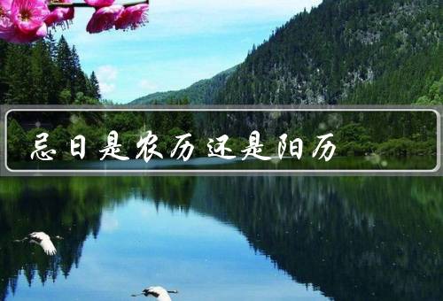 忌日是农历还是阳历（农历忌日／阳历忌日／忌日的意义）