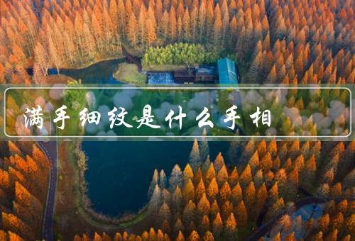 满手细纹是什么手相（手相含义、人生态度、事业与财运）