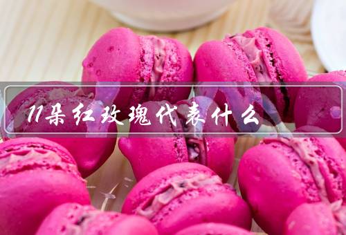 11朵红玫瑰代表什么，代表爱情的承诺、热情与浪漫、美好的祝福