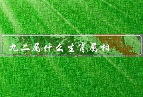 九二属什么生肖属相（性格特点／事业和财运／爱情和家庭）