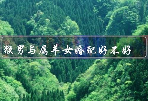 属猴男与属羊女婚配好不好，性格特点、价值观差异、生活习惯不合