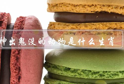 买神出鬼没的动物是什么生肖（生理特点、象征意义、文化形象）