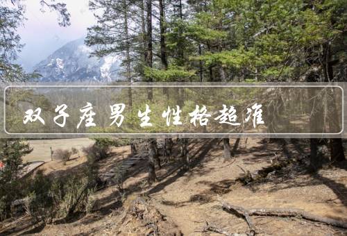 双子座男生性格超准，聪明机智／善于变化／热情洋溢
