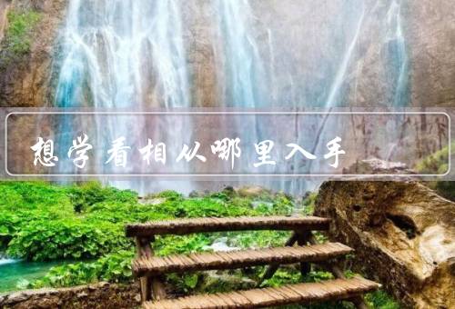 想学看相从哪里入手，图书馆／网络资料／寻找老师或导师