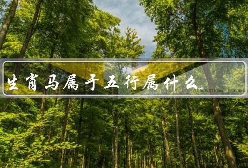 生肖马属于五行属什么（五行属性／性格特点／运势）