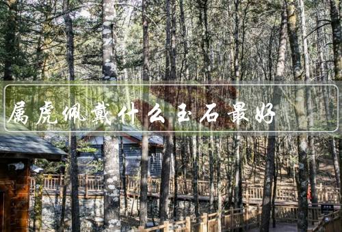 属虎佩戴什么玉石最好，和田玉、翡翠、紫砂玛瑙