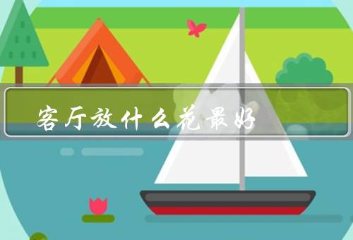 客厅放什么花最好风水，阳光充足的客厅、空气清新的客厅