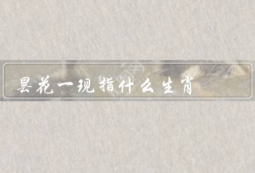 昙花一现指什么生肖，短暂辉煌／启示