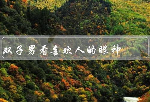双子男看喜欢人的眼神（目光专注、变幽默、中带有期待）