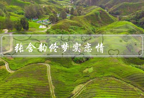 张含韵佟梦实恋情（相识、相知、相恋）