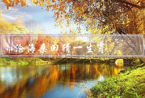 沧海桑田猜一生肖，猜一生肖／沧海桑田的意义／鼠的象征意义