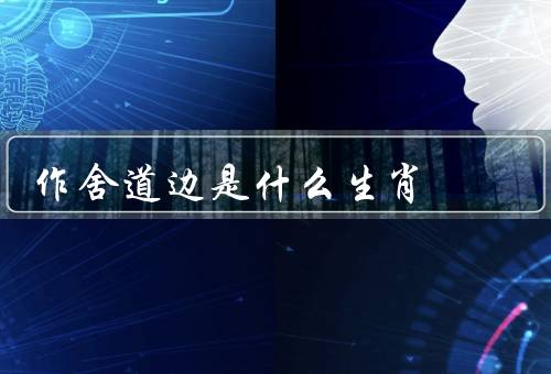作舍道边是什么生肖（聪明才智、顽皮本性）