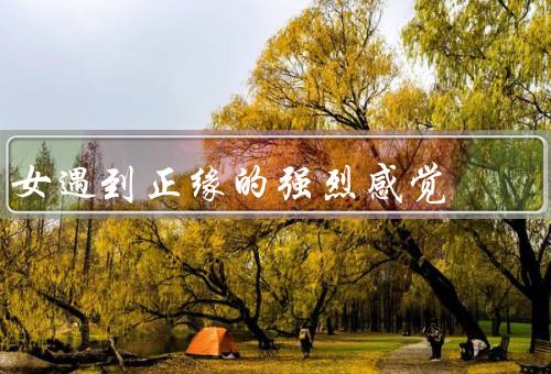 女遇到正缘的强烈感觉，初见、心动、信任