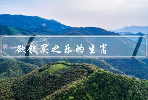 欲钱买天伦之乐的生肖，猴子、老鼠、蛇