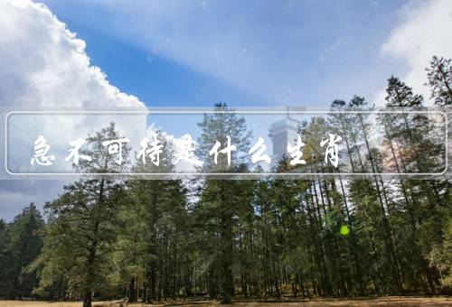 急不可待是什么生肖，特点／优点／缺点