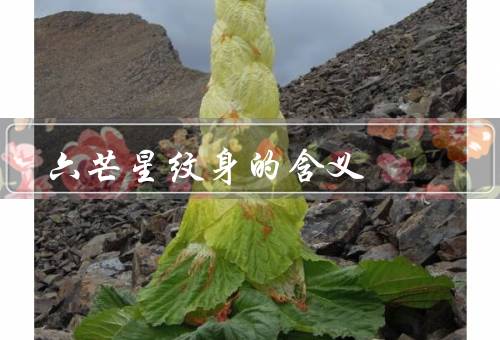 六芒星纹身的含义（起源、象征意义、个人意义）