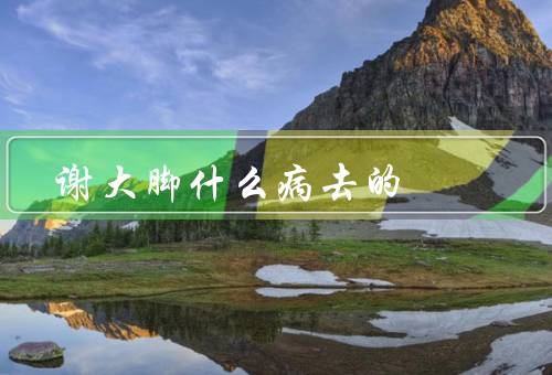 谢大脚什么病死去的（病情、生活、逝去）