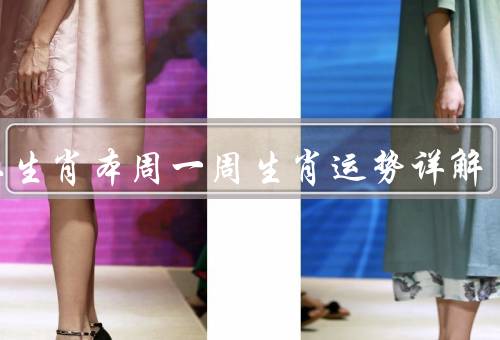 十二生肖本周一周生肖运势详解（鼠、牛、虎）