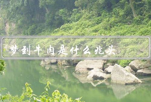 梦到牛肉是什么兆头，象征意义／健康解读／心理解读
