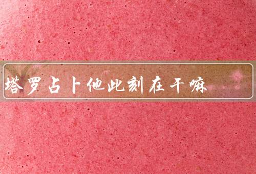 塔罗占卜他此刻在干嘛，起源／过程／意义
