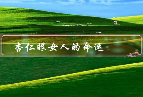 杏仁眼女人的命运，美丽困境／职场挑战／自我价值