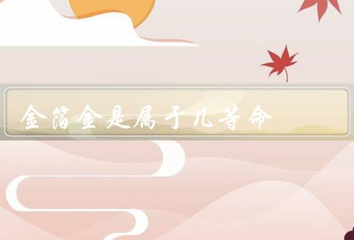 金箔金是属于几等命，历史、用途、价值