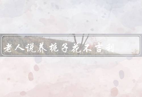 老人说养栀子花不吉利，老人说养栀子花不吉利