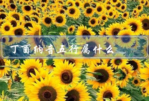 丁酉纳音五行属什么（特征、影响、结语）