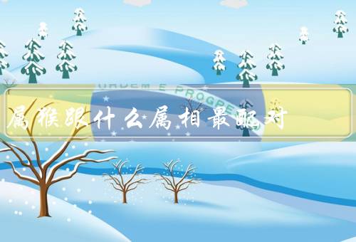 属猴跟什么属相最配对，性格相似／思维方式互补／共同目标