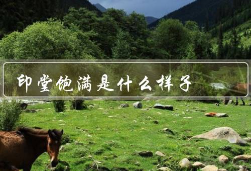 印堂饱满是什么样子（外貌特征、性格特点、寓意和象征意义）