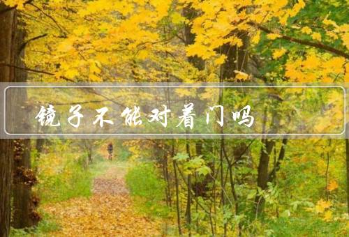镜子不能对着门吗（反射出人体的气场、导致气场的流失）