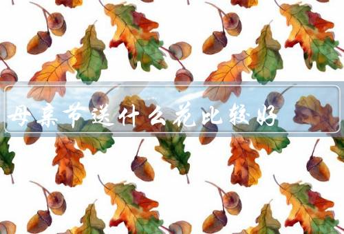 母亲节送什么花比较好，康乃馨、玫瑰、百合