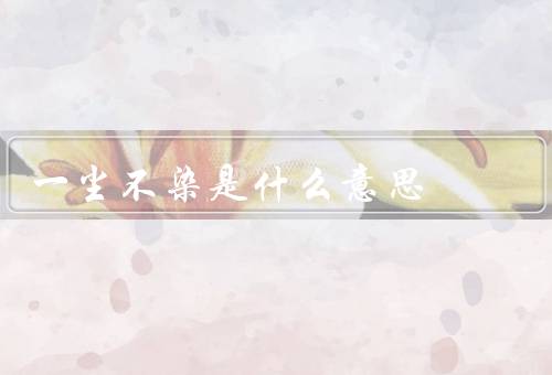一尘不染是什么意思，意义／来源／应用场景