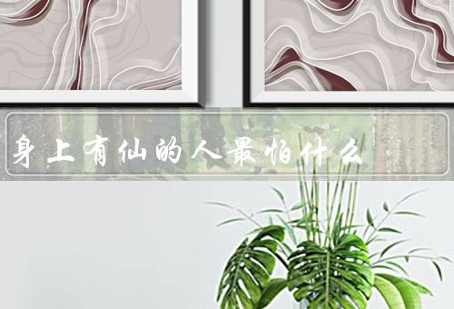 身上有仙的人最怕什么，长时间暴露在尘世间、被人觊觎和妒忌