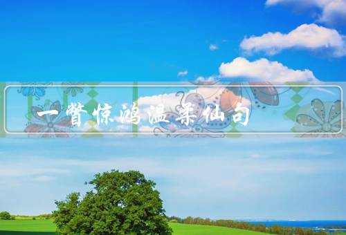 一瞥惊鸿温柔仙句，仙境之美／温柔的魅力／心动的魅力