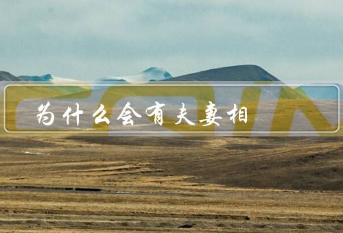 为什么会有夫妻相，基因遗传／环境因素／情感因素