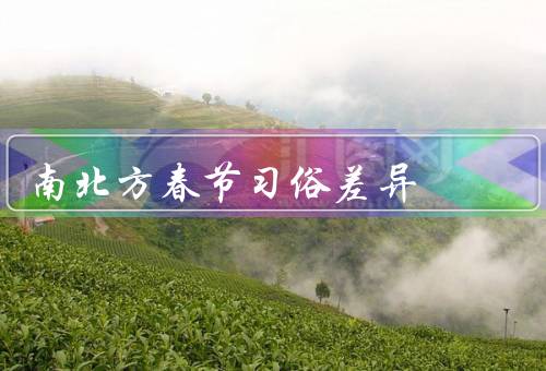 南北方春节习俗差异（南方春节／北方春节／总结）