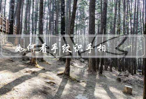 如何看手纹识手相，分类／解读／应用