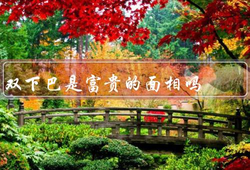 双下巴是富贵的面相吗，双下巴的历史观念／现代社会的看法