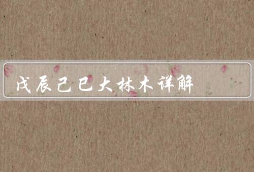 戊辰己巳大林木详解（特点／用途／总结）