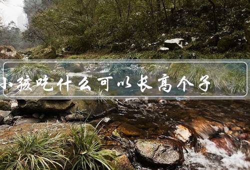 小孩吃什么可以长高个子（合理膳食搭配、多吃富含钙质食物）