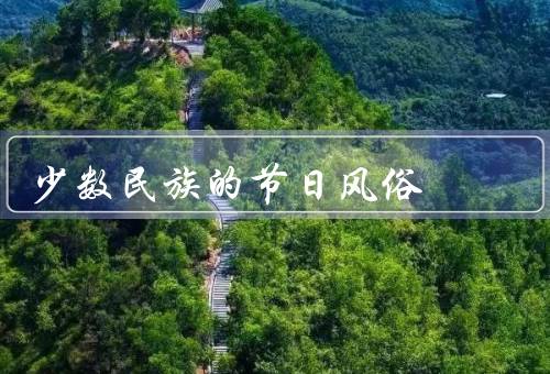 少数民族的节日风俗，苗族的龙船节／藏族的藏历新年