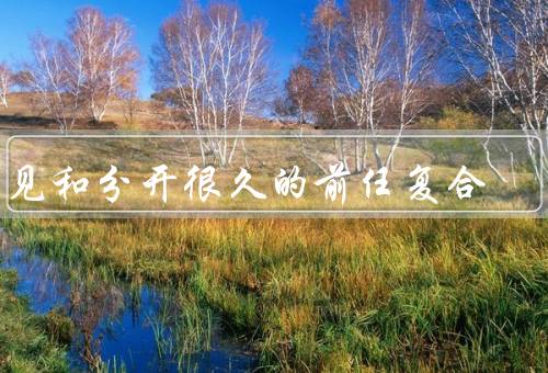 梦见和分开很久的前任复合（往事如烟、重新开始、现实与梦境）
