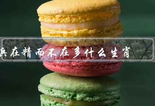 兵在精而不在多什么生肖，猴／虎／龙